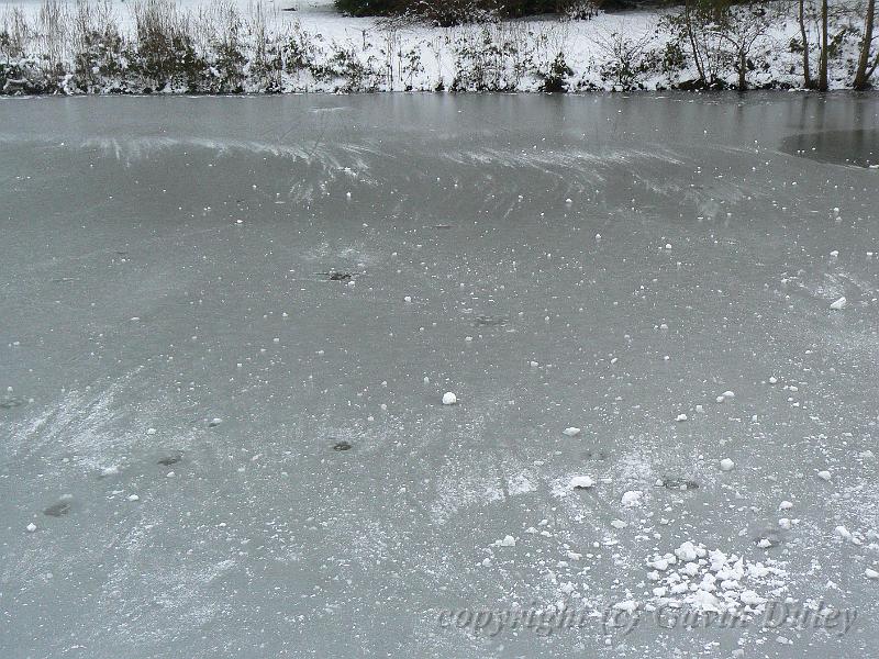 Ice patterns, Winter, Hampstead Heath P1070605.JPG
